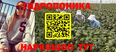 ПСИЛОЦИБИНОВЫЕ ГРИБЫ Свободный