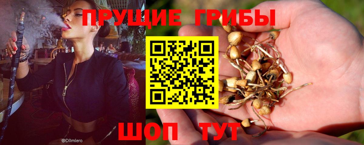 Галлюциногенные грибы прущие грибы Орск